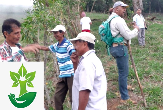 Quilichao-se-adapta-al-cambio-climatico-a-traves-de-la-reforestacion4.jpg