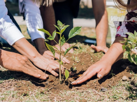 Sembrar-para-vivir-en-un-Cauca-ambiental-y-sostenible-CRC.jpg
