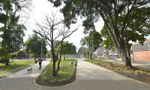 Nuevos-corredores-ambientales-en-Alfonso-Lopez-y-Canaveralejo-3.jpg