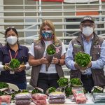 Alcaldía de Popayán está cumpliéndole a los Cafeteros del municipio