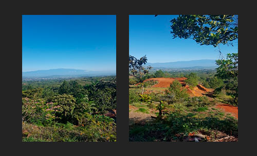 ventana.jpg