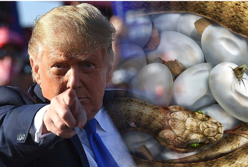 Trump-El-huevo-de-la-serpiente-Por-Felipe-Solarte-1.jpg