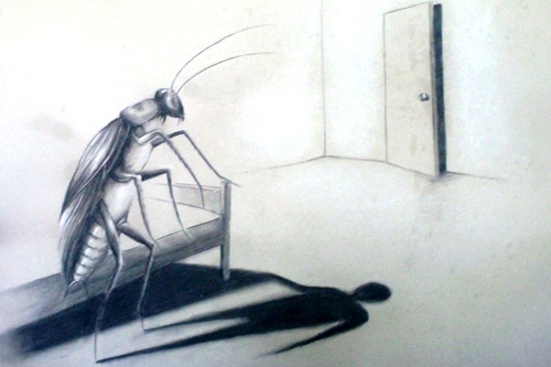 Apuntes-sobre-La-Metamorfosis-de-Kafka.jpg
