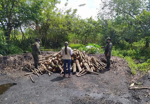 CRC-decomiso-carbon-vegetal-en-el-municipio-de-Padilla.jpg