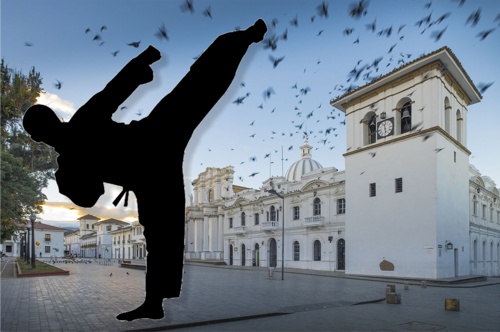 Popayan-sera-sede-del-Torneo-Nacional-de-Karate.jpg