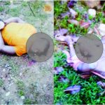 Torturan y asesinan a dos jóvenes en zona rural de Buenos Aires