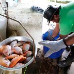 Superintendencia de Industria y Comercio entregó nueva patente para Unicauca