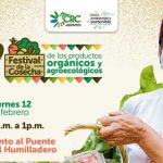 Festival de la Cosecha en Popayán se realizará el 12 de enero