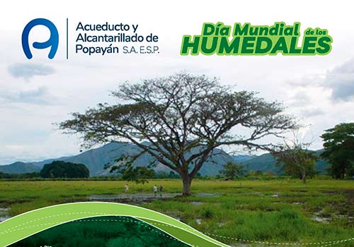 humedales.jpg