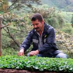 El Comité de Cafeteros del Cauca, iniciará un nuevo programa para incentivar la producción de café de alta calidad