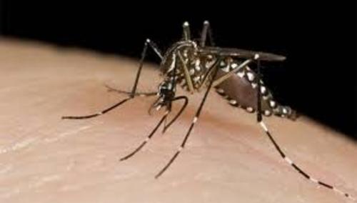 Aumentan-casos-de-dengue-en-el-departamento-del-Valle-2.jpg