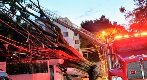 Fuertes-lluvias-dejan-12-arboles-caidos-y-barrios-inundados-en-Cali-1.jpg