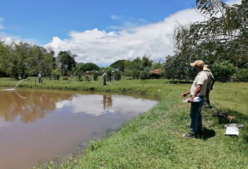 Implementan-policultivo-de-peces-en-zona-rural-de-Quilichao3.jpg