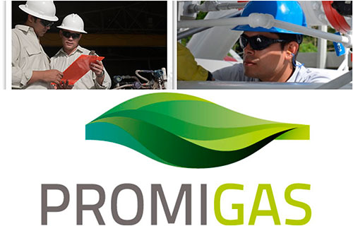 Promigas presentó informe de gestión 2020 Promigas presentó informe de gestión 2020