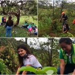 Emcaservicios apoya reforestación de cuenca en el municipio de Bolívar