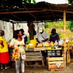 La inseguridad alimentaria actual requiere de una metamorfosis agropecuaria