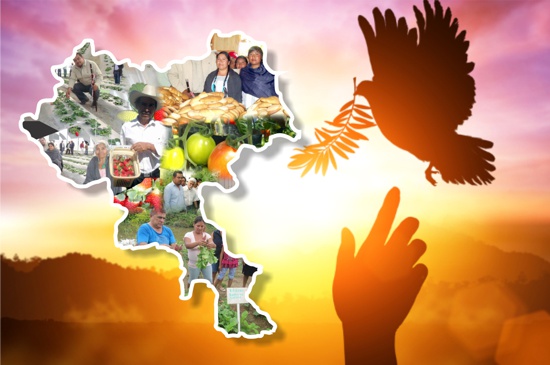 Por-ahora-construir-paz-territorial.jpg