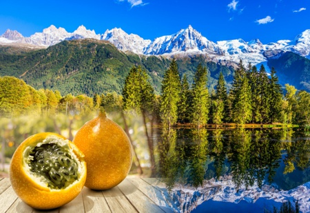 Una-Granadilla-frente-a-los-Alpes.jpg