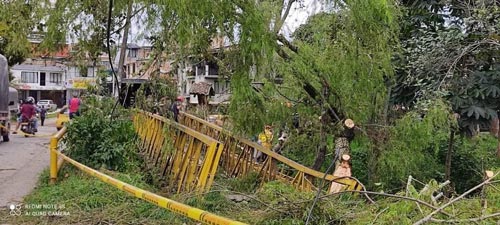 denuncia-puente-01.jpg