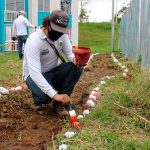 Siembra de 500 árboles ornamentales y forestales en Popayán