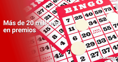 Bingo-Invencible-2