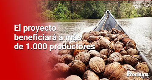 COPACIFICO-beneficiara-a-mas-de-mil-productores-de-coco3-1.jpg