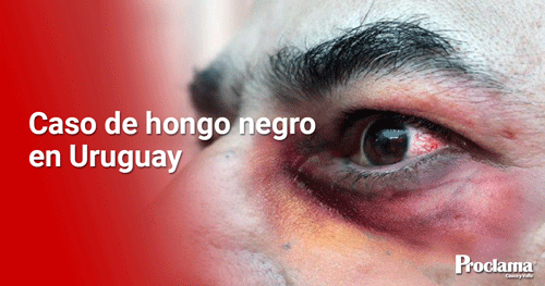 Diario-de-una-pandemia-1-1.gif