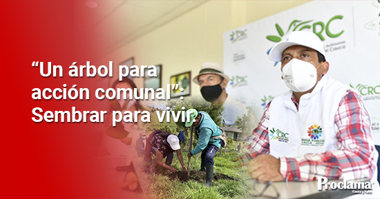 Juntas-de-Accion-Comunal-fortaleceran-reforestacion-en-el-Cauca5.jpg