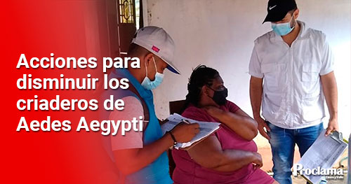 dengue.jpg