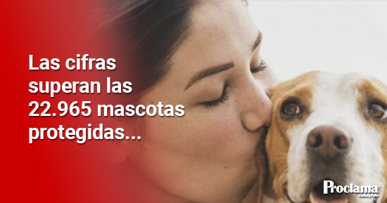 Aumenta protección a mascotas en la pandemia Aumenta protección a mascotas en la pandemia
