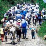 Desplazamiento masivo en Santander de Quilichao