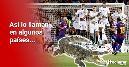 El-cocodrilo.jpg