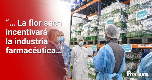Ya-se-puede-exportar-legalmente-cannabis.jpg
