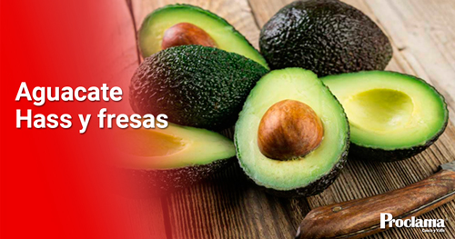 Aguacate-hass-y-la-fresa.jpg