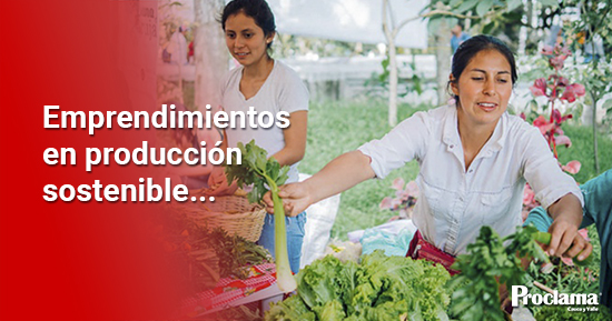 Festival de la Cosecha, un espacio con aroma de mujer en Popayán