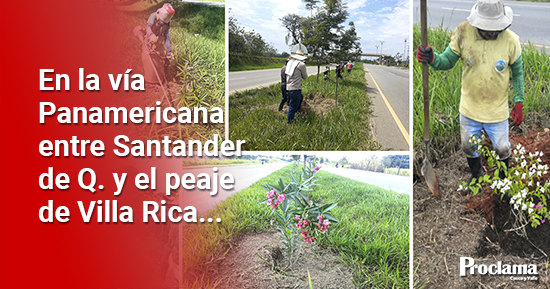Amenazan-con-cortar-plantas-florales-sembradas-por-Vivero-Paraiso6.jpg