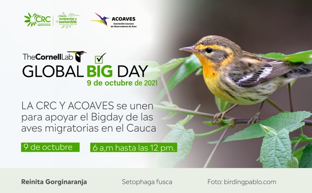 Cauca-participara-del-Dia-Mundial-de-Observacion-de-Aves.jpg