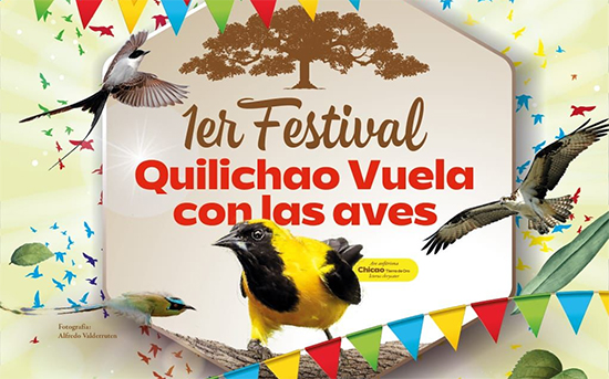 1er-Festival-Quilichao-vuela-con-las-aves-1.jpg