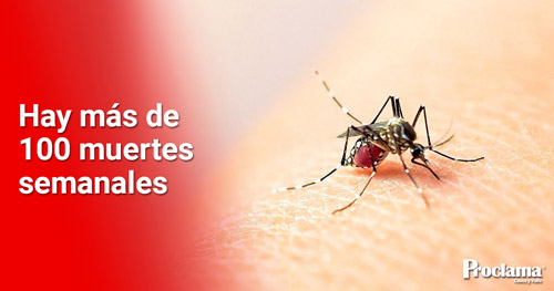 Aumentan-las-muertes-por-dengue-en-el-Valle-del-Cauca.jpg
