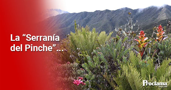 CRC-consolida-comite-interadministrativo-para-el-manejo-de-reserva-forestal-1.jpg