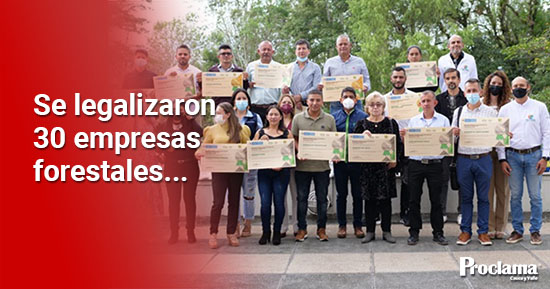 CRC-fortalece-su-accionar-frente-a-la-legalidad-forestal-del-Cauca-1.jpg