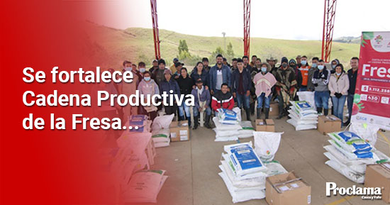 Freseros-del-Cauca-beneficiados-con-mas-de-3.100-millones-de-pesos-1.jpg