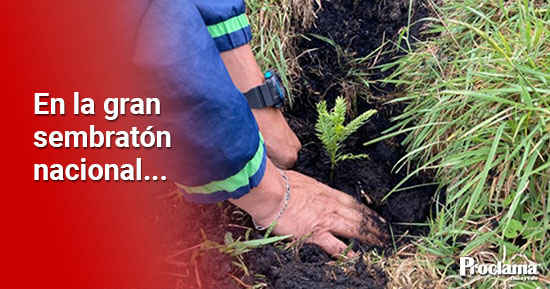 Mas-de-12-mil-arboles-fueron-plantados-en-Cauca-CRC-1.jpg