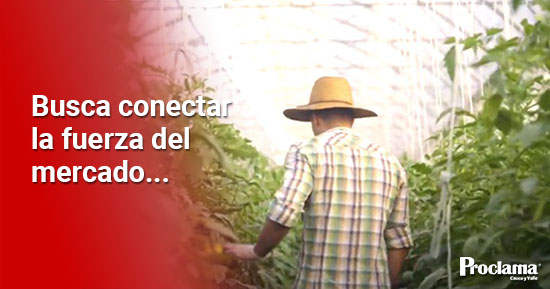 Proyecto-Conecta-Innovacion-para-el-progreso-y-la-equidad-1.jpg