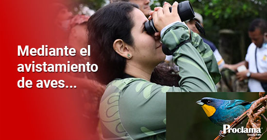 Quilichao-sigue-proyectandose-como-destino-turistico-ambiental-para-el-avistamiento-de-aves6-1.jpg