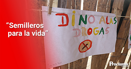 Semilleros-Para-La-Vida.jpg