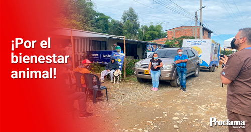 Continúan-jornadas-de-esterilización-en-Popayán