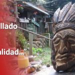 Troncos que se convierten en arte