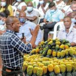 Gobernación del Cauca avanza en fortalecimiento de la economía rural