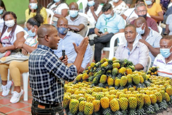 Gobernacion-del-Cauca-avanza-en-fortalecimiento-de-la-economia-rural-3.jpg